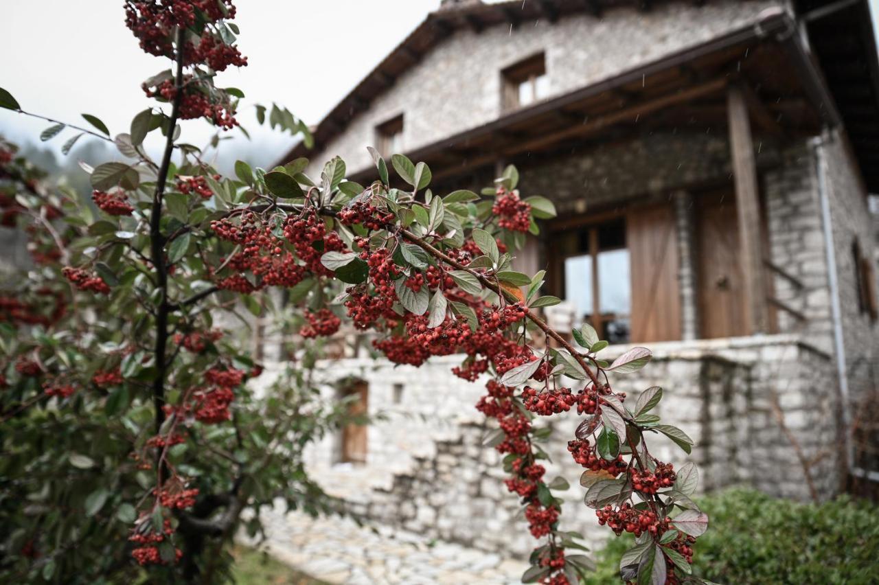 Petrina Theohari Villa Lekhouri Exteriör bild