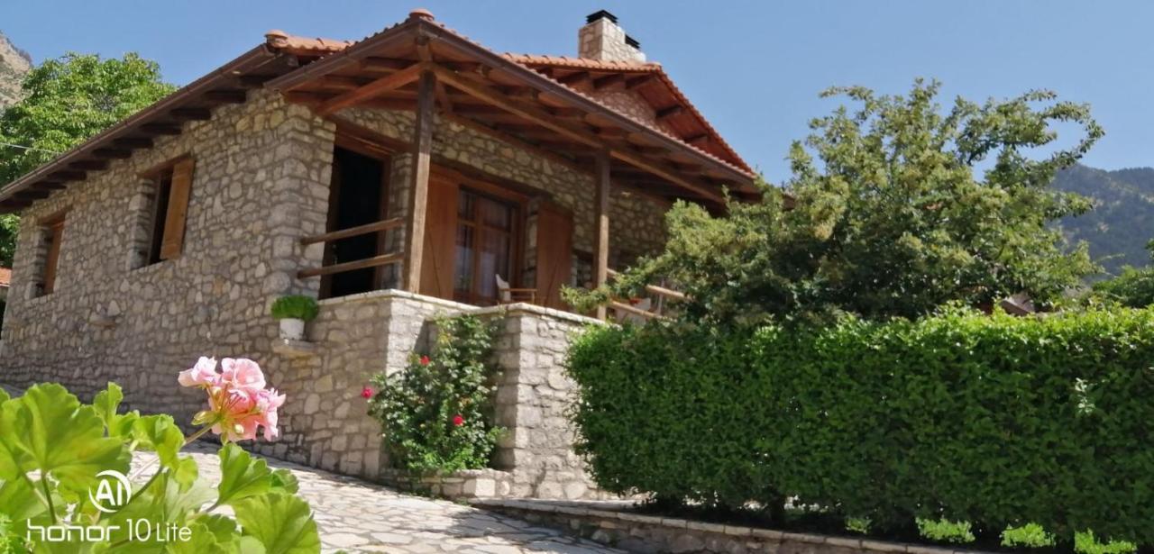 Petrina Theohari Villa Lekhouri Exteriör bild