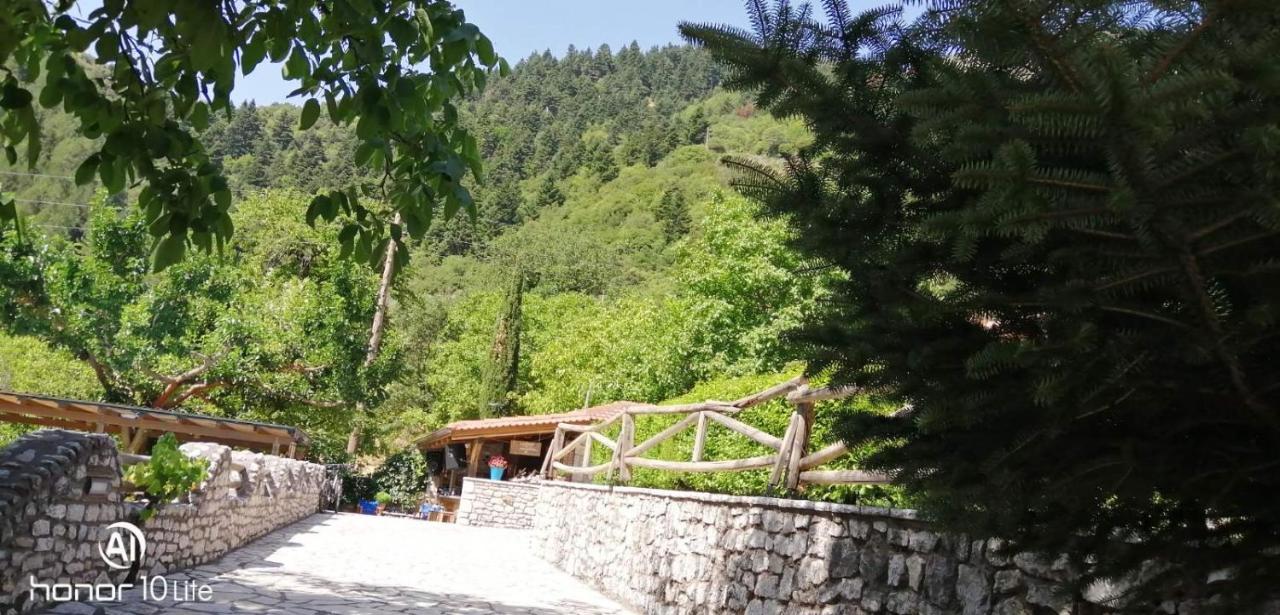 Petrina Theohari Villa Lekhouri Exteriör bild
