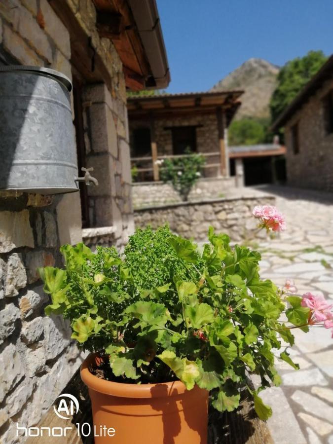 Petrina Theohari Villa Lekhouri Exteriör bild