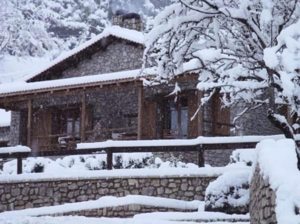 Petrina Theohari Villa Lekhouri Exteriör bild